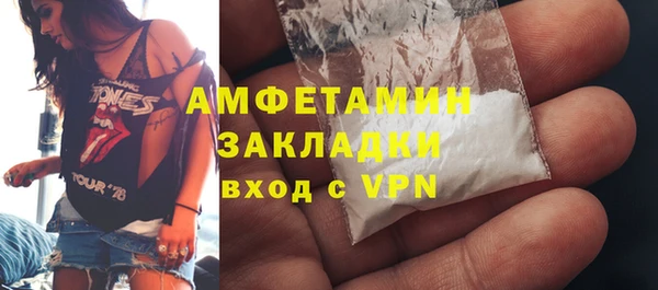 шишки Абаза