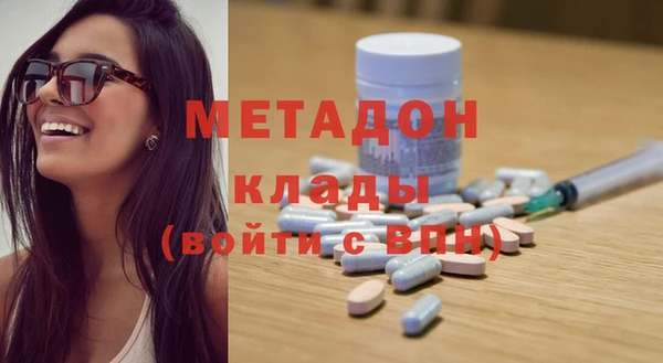 шишки Абаза