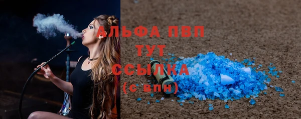 шишки Абаза